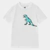 Cotton On DOWNTOWN SHORT SLEEVE TEE - T-shirt imprimé Qualité Supérieure t-shirts col rond enfant