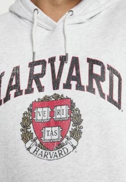 Cotton On 50% Off De Vente PREMIUM COLLAB UNISEX - Sweat à capuche pulls et gilets -France Cotton On Soldes Boutique 67ecd7eeaabe4cb4af23761d2ab3b771