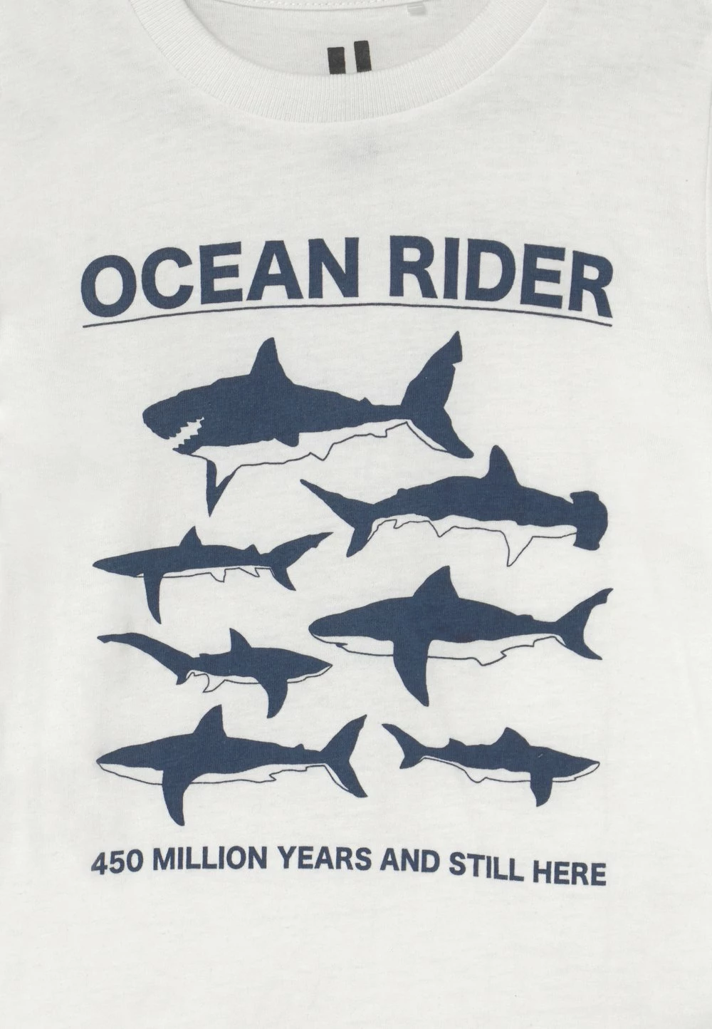 Cotton On MAX SHORT SLEEVE TEE - T-shirt imprimé Authentique 100% t-shirts col rond enfant 5 Cotton On MAX SHORT SLEEVE TEE - T-shirt imprimé Authentique 100% t-shirts col rond enfant – Image 3