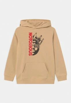 Cotton On MINI LICENSE HOODIE - Sweat à capuche Qualité Excellente pulls et gilets enfant -France Cotton On Soldes Boutique 9c442c4d9fba47319457c437166aaf22 2