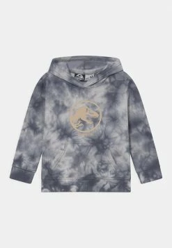 Bon Rapport Coût-Efficacité Cotton On LICENSE HOODIE - Sweat à capuche pulls et gilets enfant -France Cotton On Soldes Boutique cfc986c96dc74e4c973f0a649814fa5f